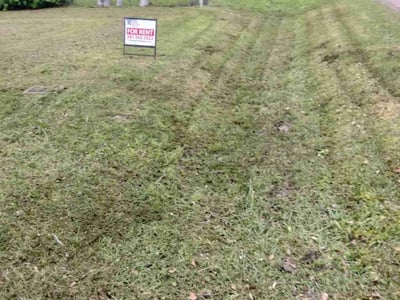 Lawn care service in Angleton, 77515
