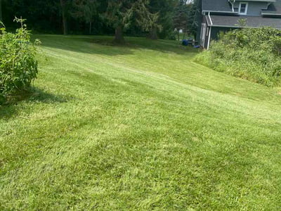 Lawn care service in Springfield, 45502