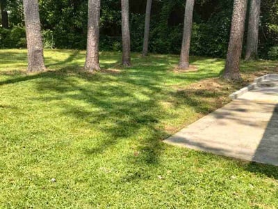 Lawn care service in , 