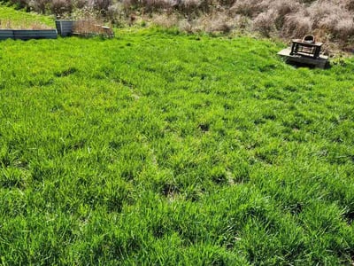 Lawn care service in Ballwin, 63021