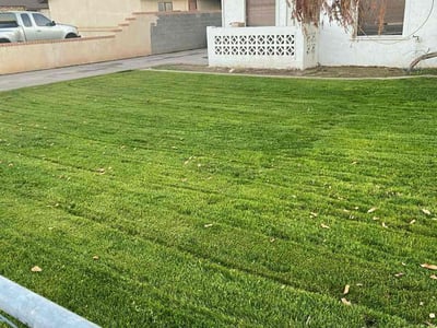 Lawn care service in Phoenix, 85009