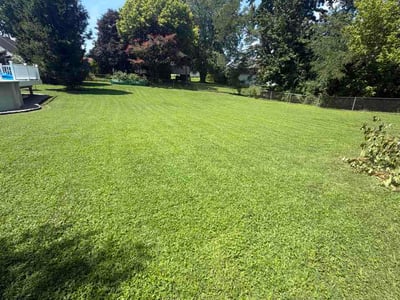 Lawn care service in Essex, 21221