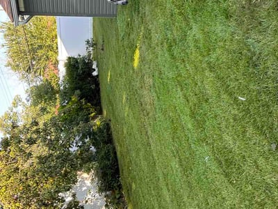 Lawn care service in Bay Shore, 11706