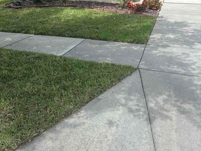 Lawn care service in Lutz, 33558