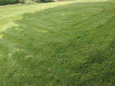 Lawn care service in Westerville, 43081