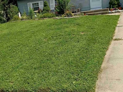 Lawn care service in Perry Hall, 21128