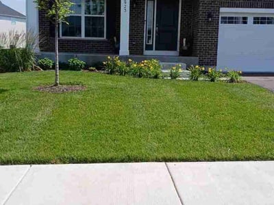 Lawn care service in Plainfield, 60585