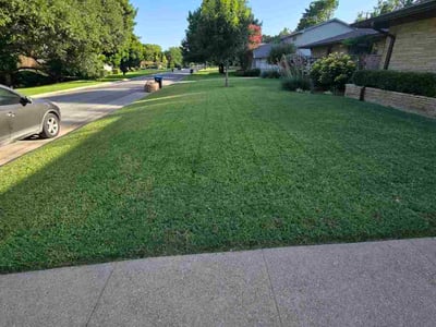Lawn care service in Fort Worth, 76109