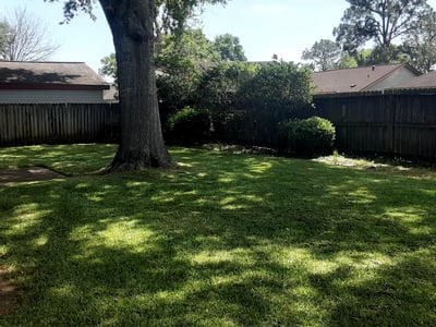 Lawn care service in Houston, 77062