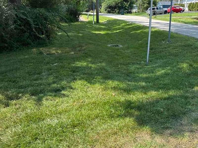 Lawn care service in Winfield, 60190
