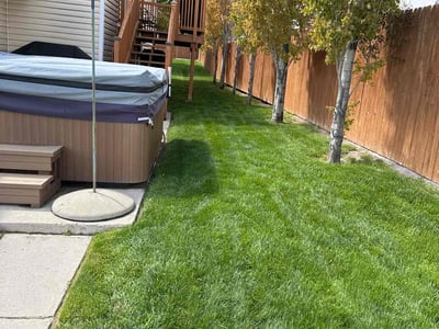 Lawn care service in Salt Lake City, 84118