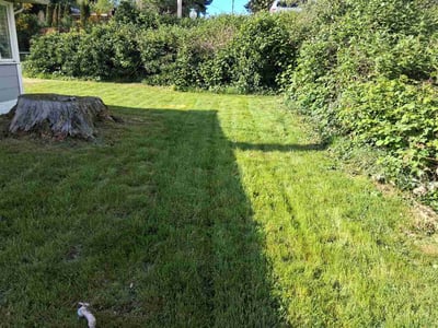 Lawn care service in Shoreline, 98155