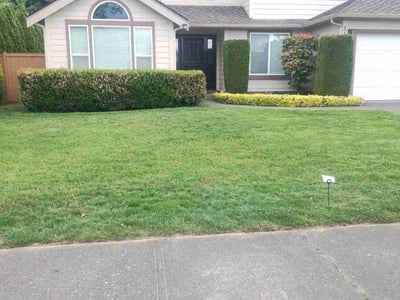 Lawn care service in Federal Way, 98023