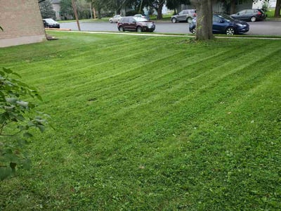 Lawn care service in Palmyra, 17078