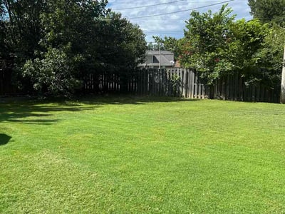 Lawn care service in Memphis, 38016