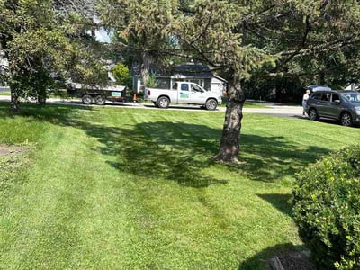 Lawn care service in Lindenhurst, 60046