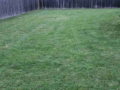Lawn care service in Pflugerville, 78660
