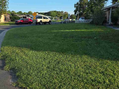 Lawn care service in Tampa, 33615
