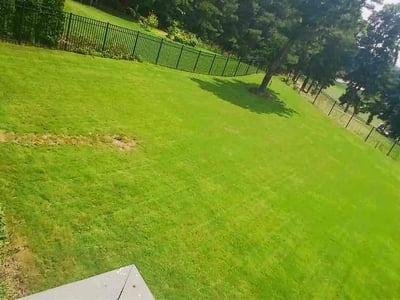 Lawn care service in Cumming, 30041
