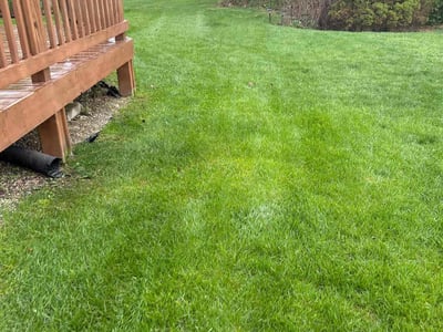 Lawn care service in Plymouth, 48170
