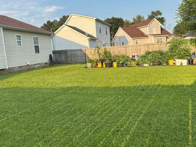Lawn care service in Clarksville, 37042