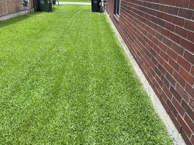 Lawn care service in Pearland, 77584