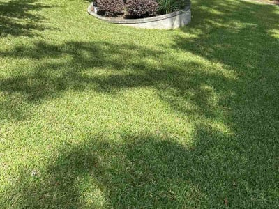 Lawn care service in Irmo, 29063