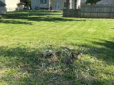 Lawn care service in Omaha, 68137