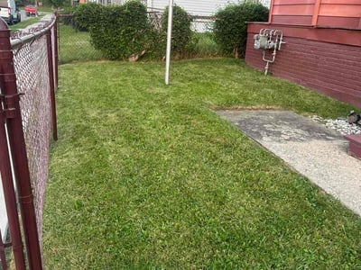 Lawn care service in Hamtramck, 48212