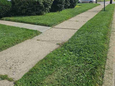 Lawn care service in Clifton, 07013