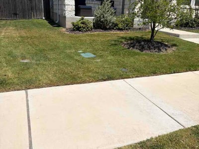 Lawn care service in Hutto, 78634