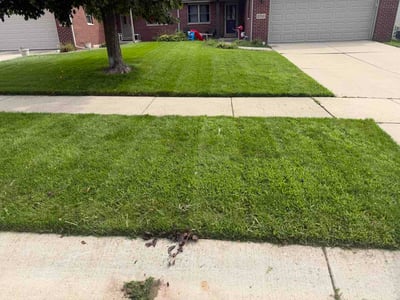 Lawn care service in Schererville, 46375