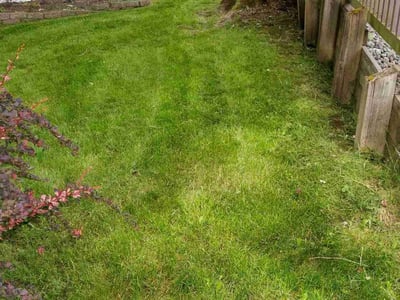 Lawn care service in Kirkland, 98034