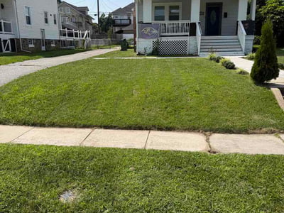 Lawn care service in Baltimore, 21215
