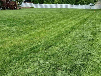 Lawn care service in Saint Charles, 63301