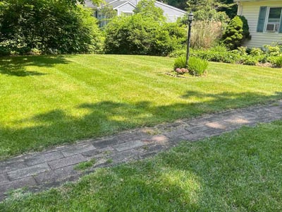 Lawn care service in Northford, 06472