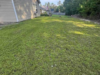 Lawn care service in Lexington, 29072