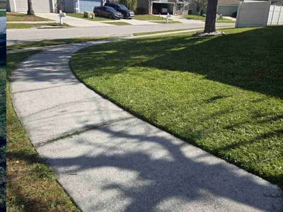 Lawn care service in Land O' Lakes, 34639