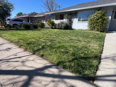 Lawn care service in San Jose, 95124