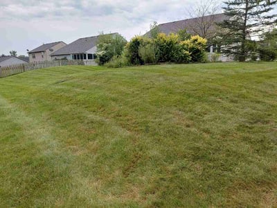 Lawn care service in Fort Wayne, 46825
