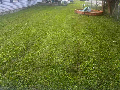Lawn care service in Medway, 45341