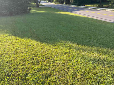 Lawn care service in Fairburn, 30213