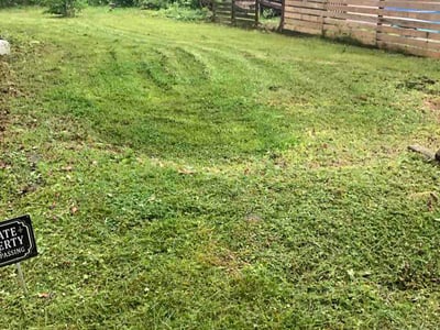 Lawn care service in Essex, 21221