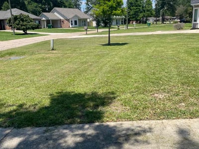 Lawn care service in Denham Springs, 70706