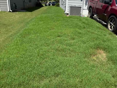 Lawn care service in Charlotte, 28278