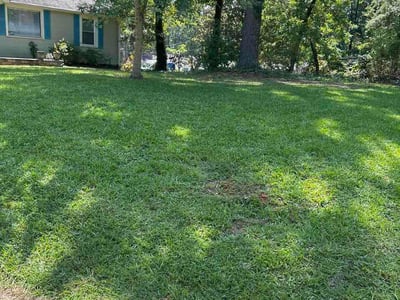 Lawn care service in Stone Mountain, 30083
