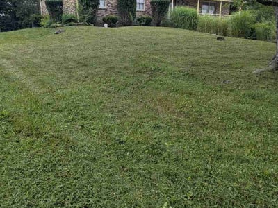 Lawn care service in Greenfield, 46140
