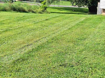 Lawn care service in Westminster, 21157