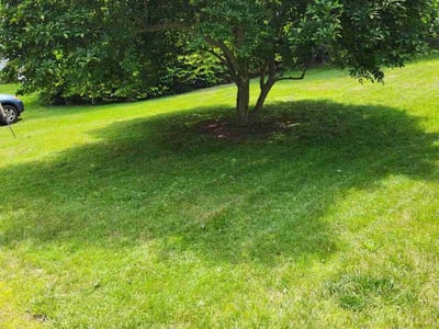 Lawn care service in Hopkinton, 01748