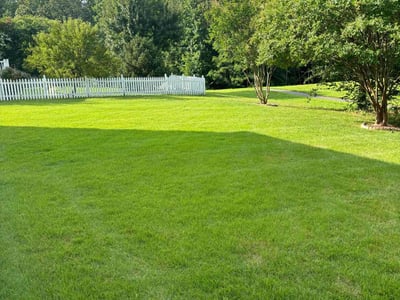 Lawn care service in Fredericksburg, 22405